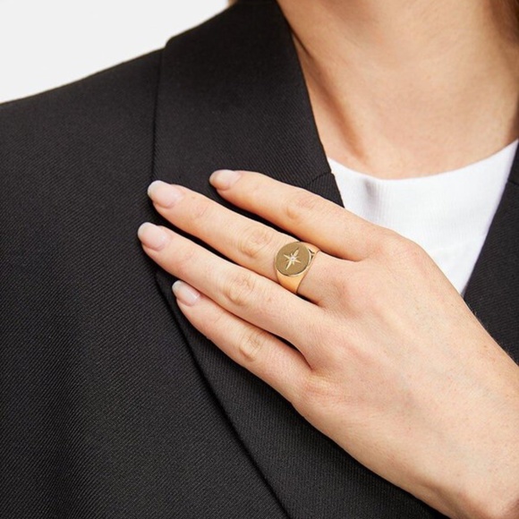 DIAMOND SIGNET RING - ANINE BING - SIZE 5 - SOLID 14K YELLOW GOLD - Picture 1 of 8